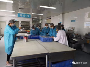 隴南生活網(wǎng)團(tuán)隊(duì)走進(jìn)成縣優(yōu)點(diǎn)食品廠，探索乳制品背后的匠心與創(chuàng)新